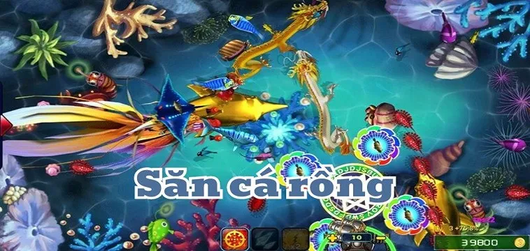 Cách Chơi Bắn Cá Rồng Tại SunWin Chi Tiết Cho Người Mới Bắt Đầu