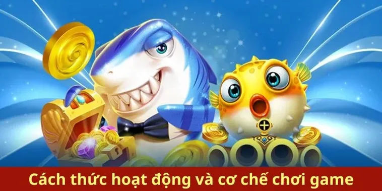 Cách Chơi Bắn Cá Royal Fishing Tại SunWin Hiệu Quả Chuẩn Cao Thủ