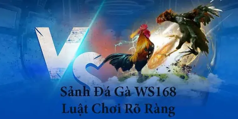Cách Chơi Đá Gà WS168 Tại SunWin Chi Tiết Cho Người Mới Bắt Đầu