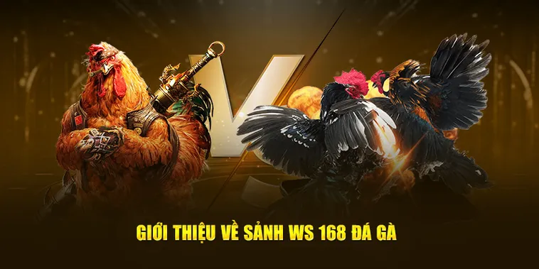 Cách Chơi Đá Gà WS168 Tại SunWin Chi Tiết Cho Người Mới Bắt Đầu